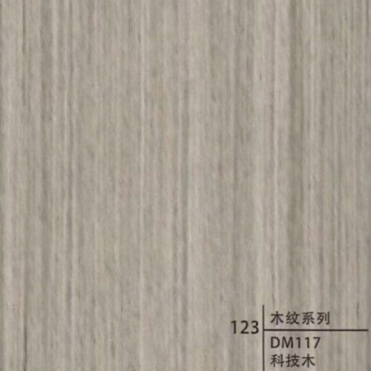 Type 123