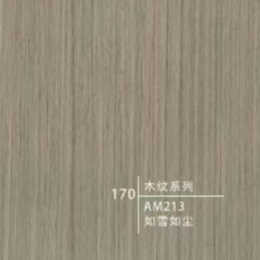 Type 170