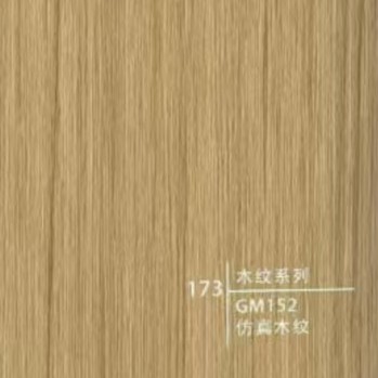 Type 173