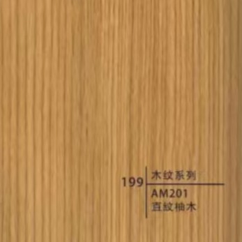 Type 199