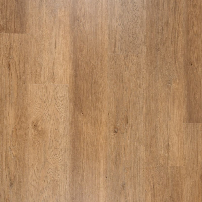 Palm Wood